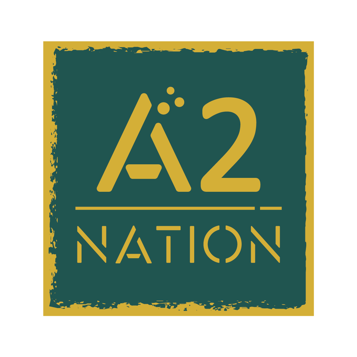 A2 Nation Logo